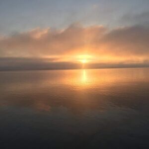 Meet your Posher, Miranda